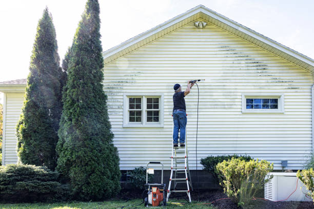 Best Roof Pressure Washing  in Lineville, AL