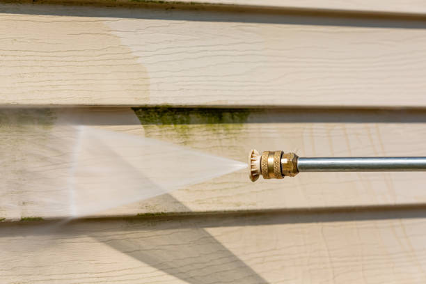 Best Local Pressure Washing Services  in Lineville, AL