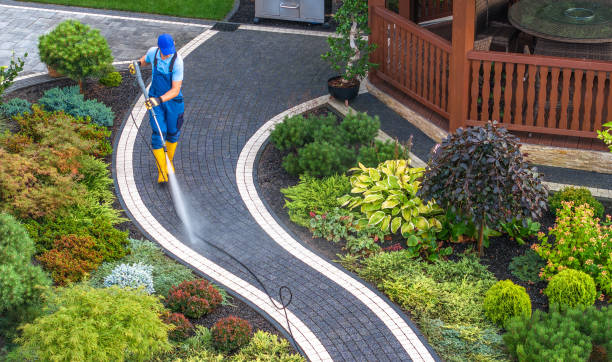 Best Best Pressure Washing Companies  in Lineville, AL